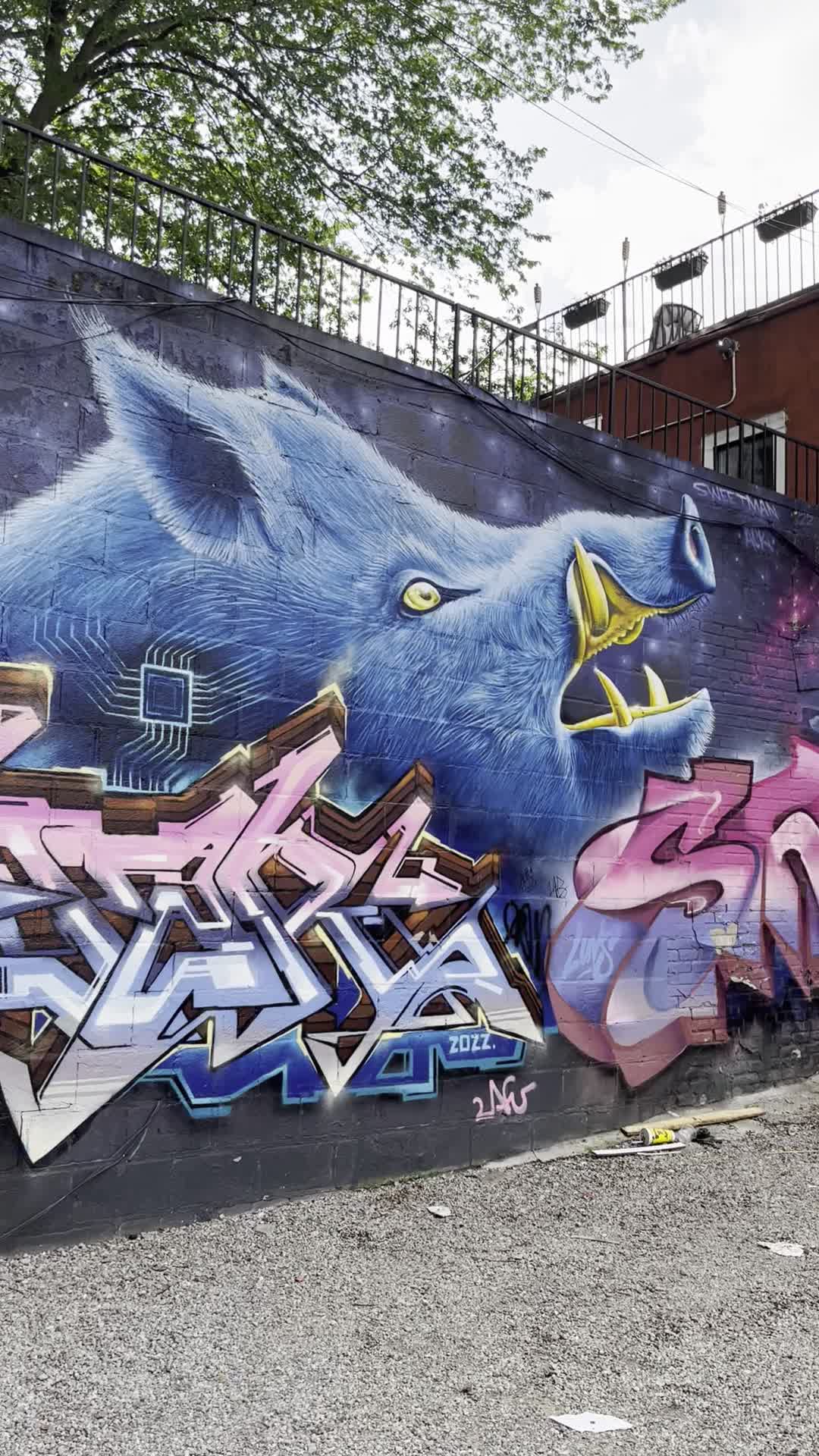 Video review of Graffiti Alley