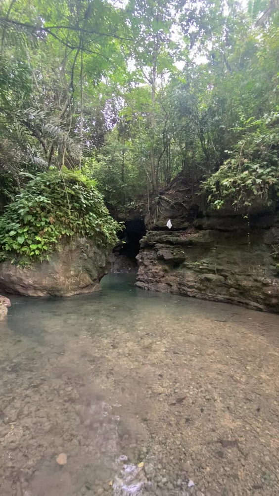 Province of Cebu