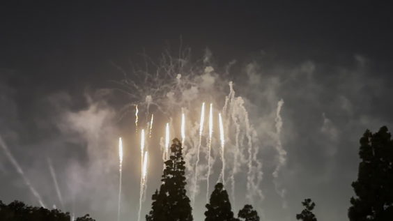Disneyland Hotel