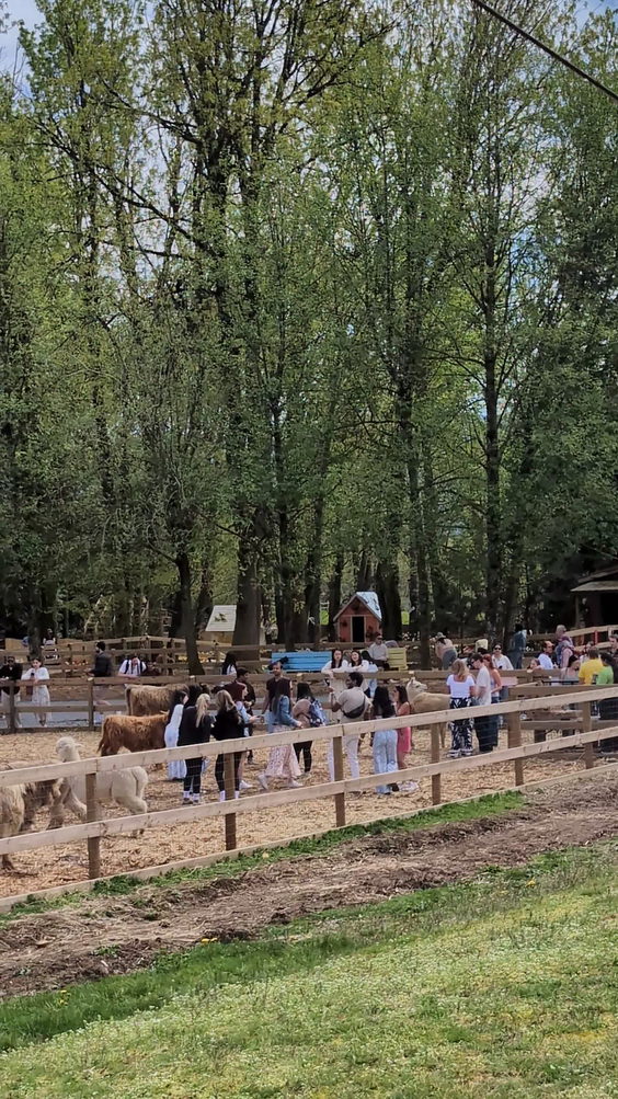 London Heritage Farm