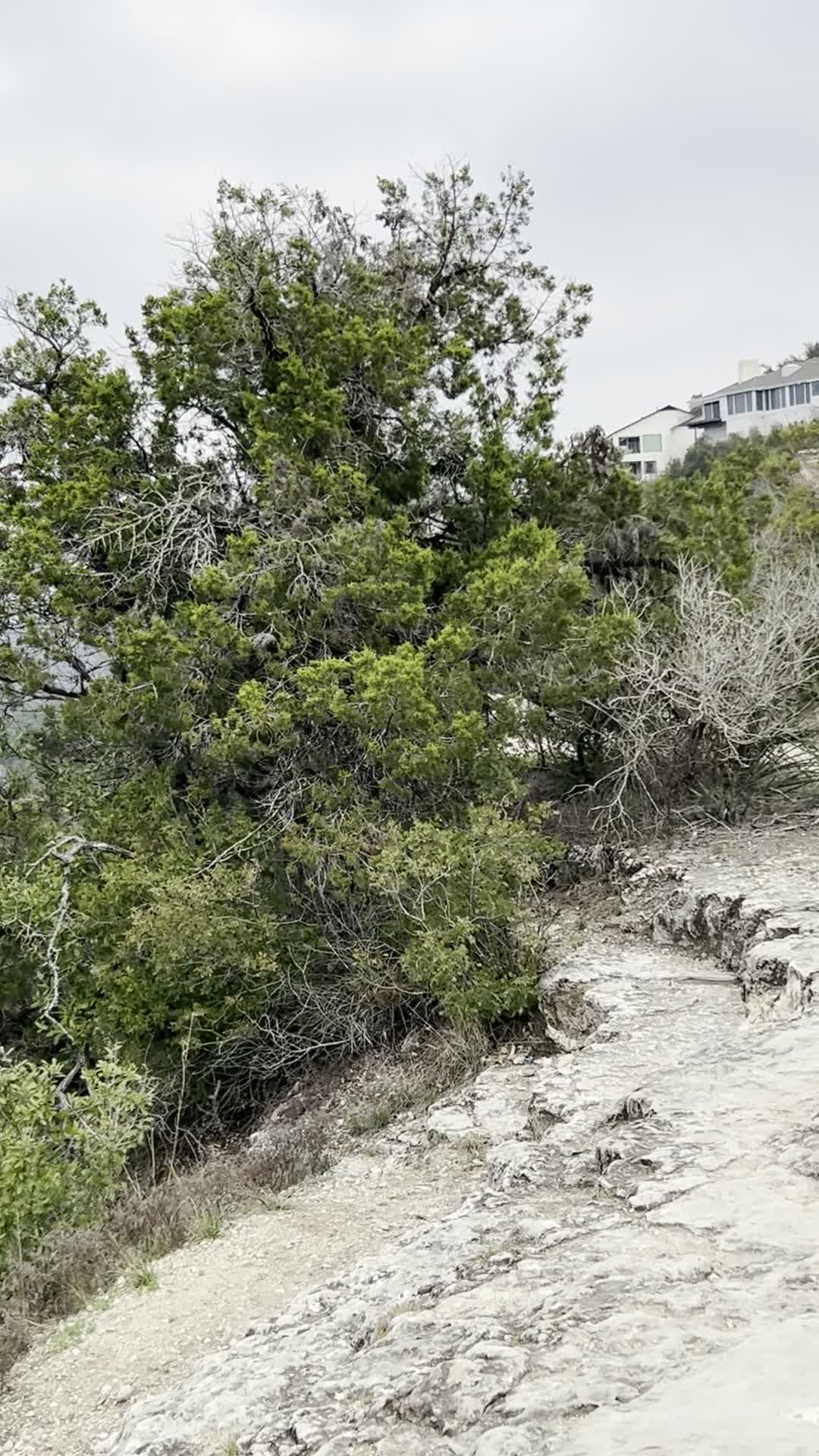 Video review of Covert Park at Mt. Bonnell