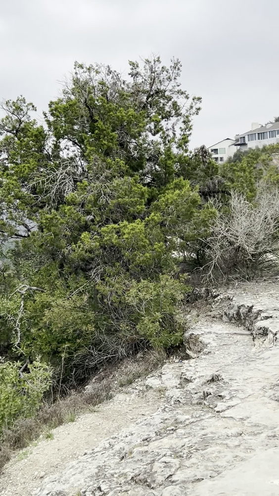 Covert Park at Mt. Bonnell