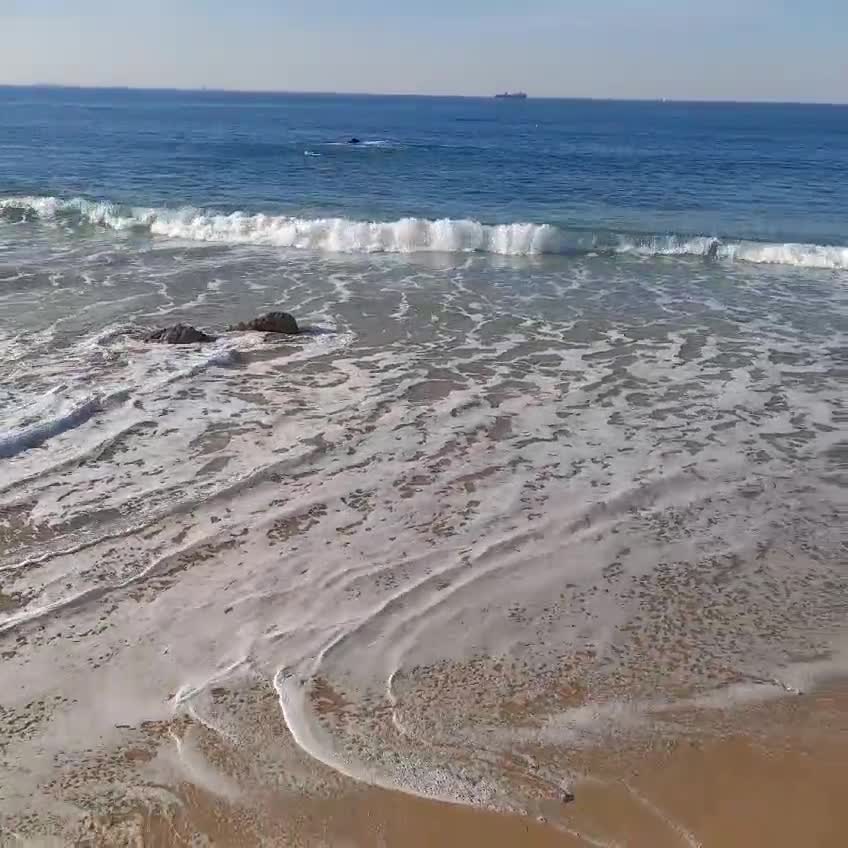 King's Beach