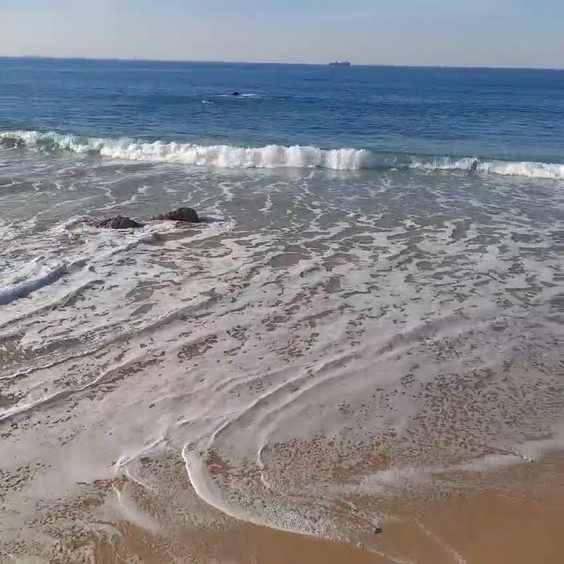 King's Beach