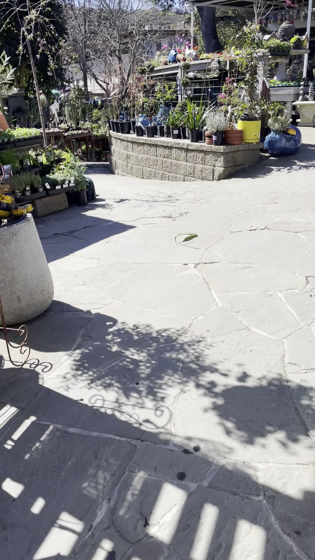 Ladera Garden & Gifts