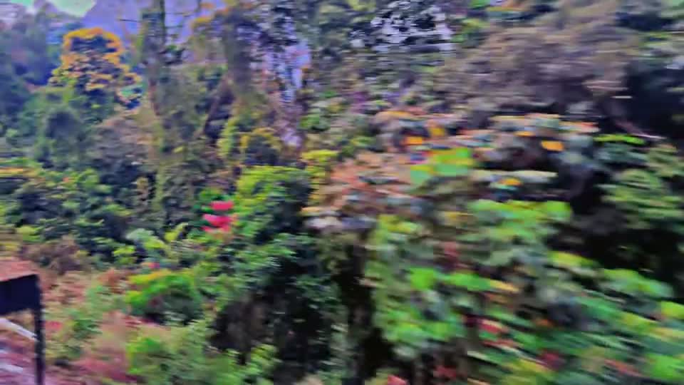 Bangalore Brew Works