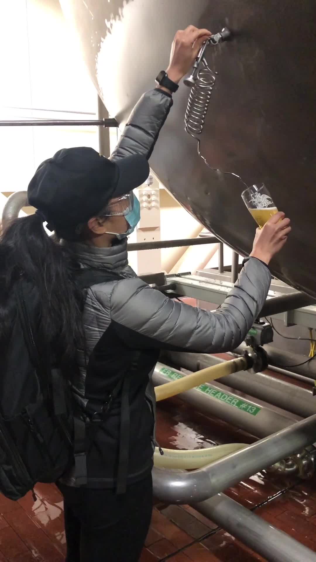 Budweiser Brewery Experience