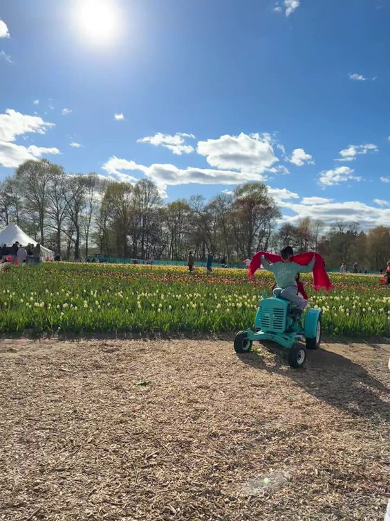 Wicked Tulips Flower Farm