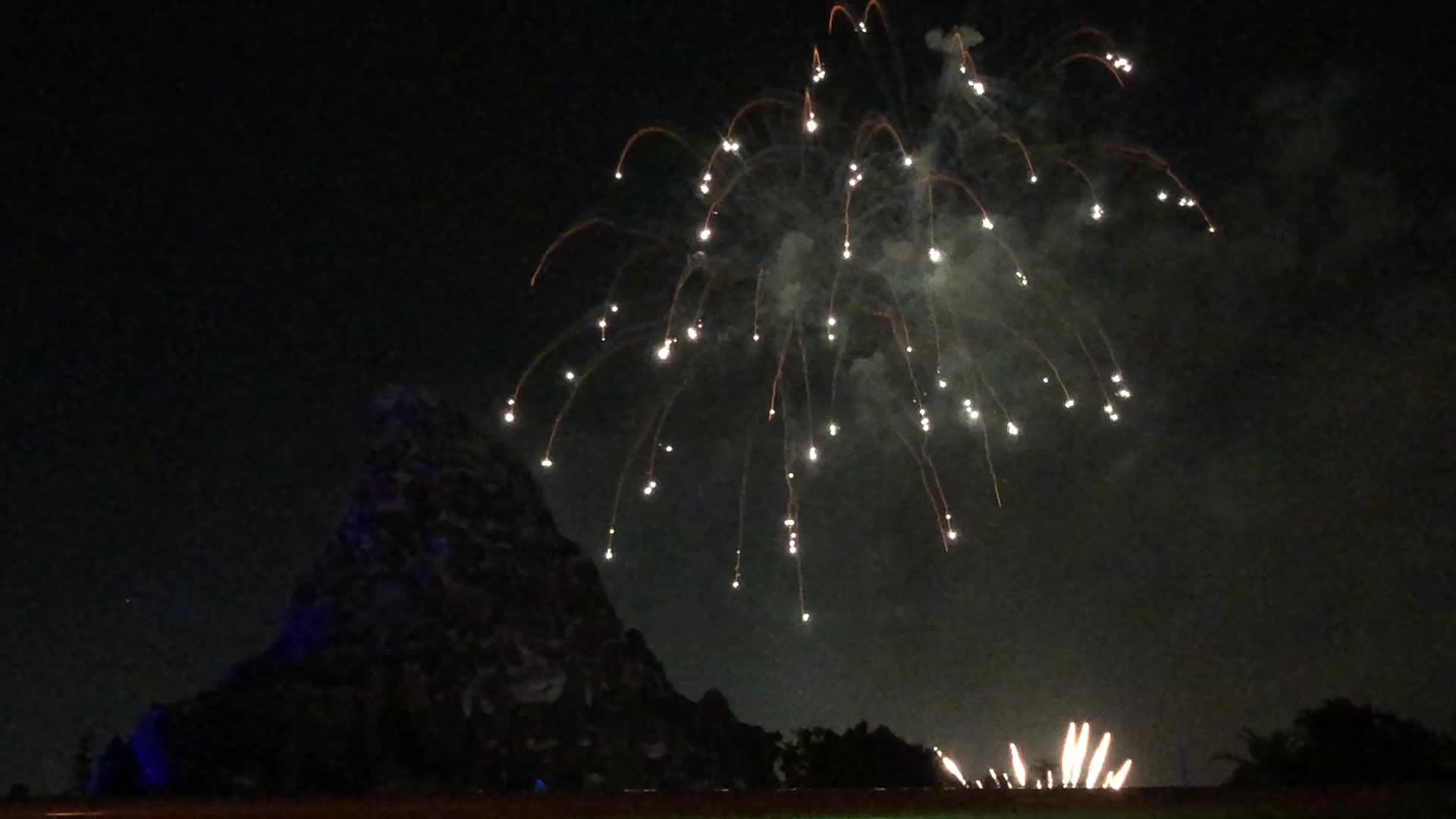 Disneyland Park