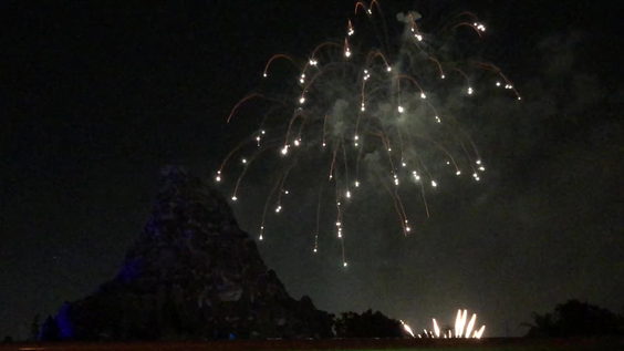 Disneyland Park