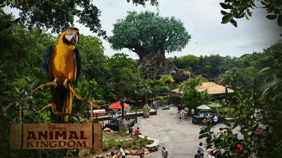 Animal Kingdom Main Entrance