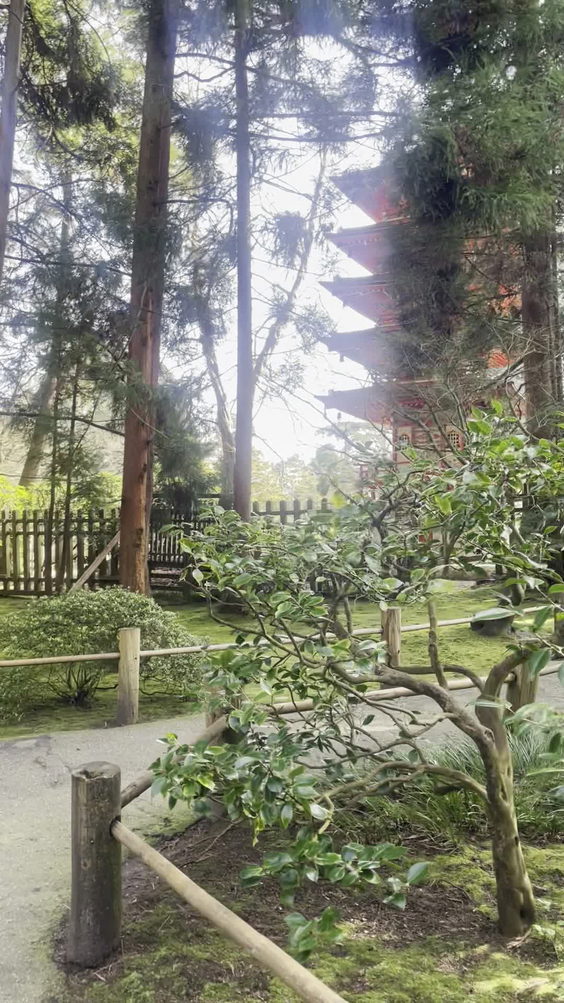 Japanese Tea Garden