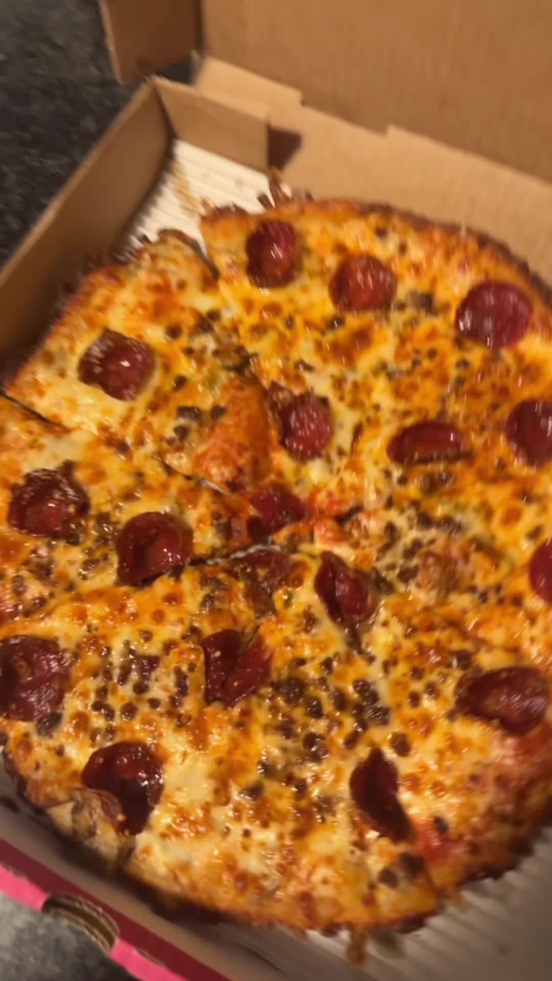 Pizza Cat Max 