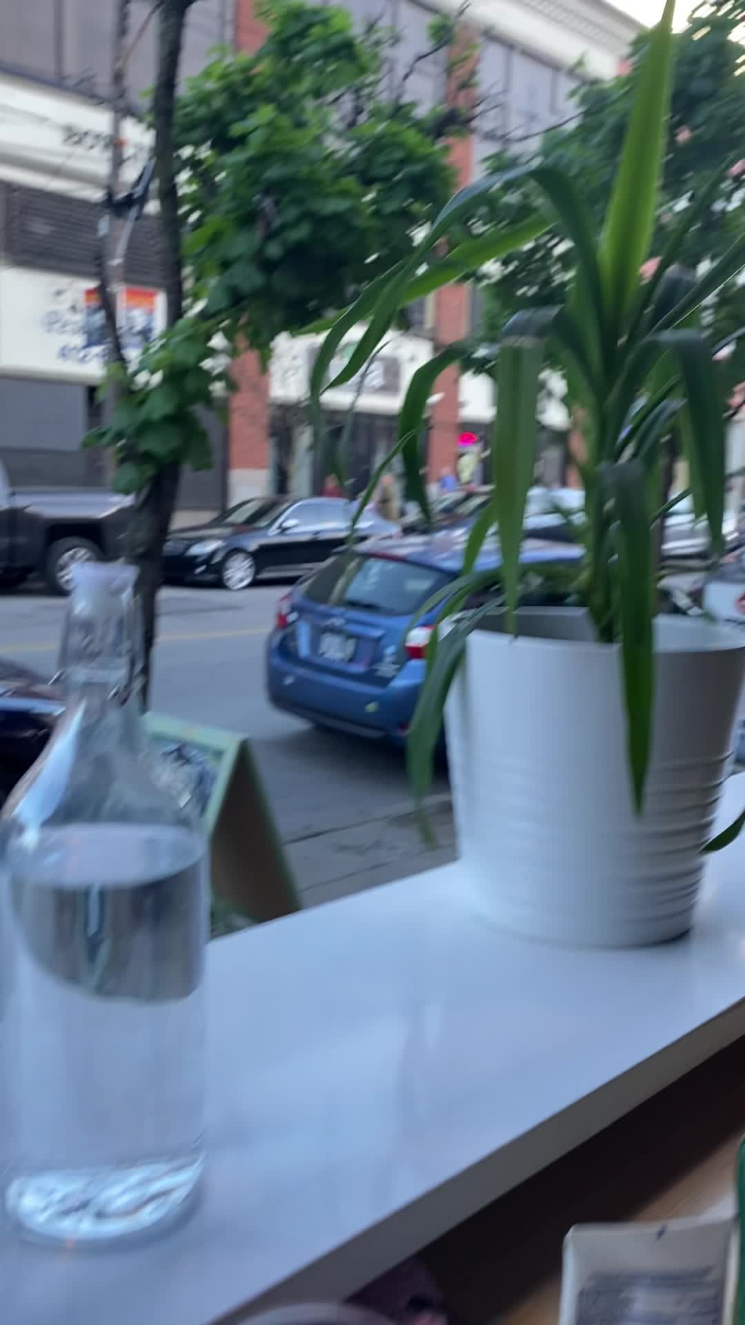 Video review of Bar Botanico