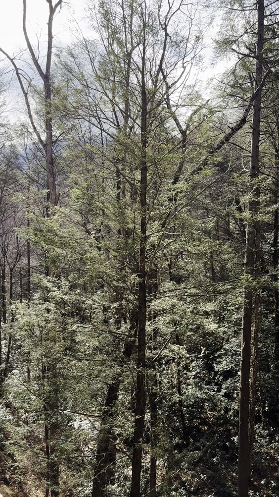 mountains