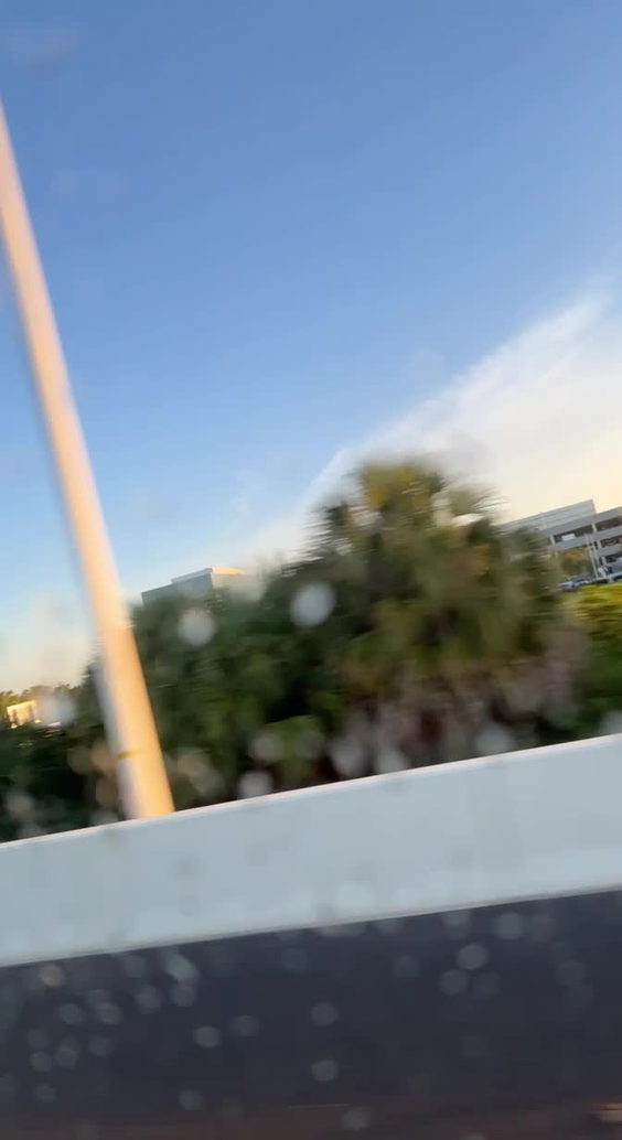 Tampa International Airport (TPA)