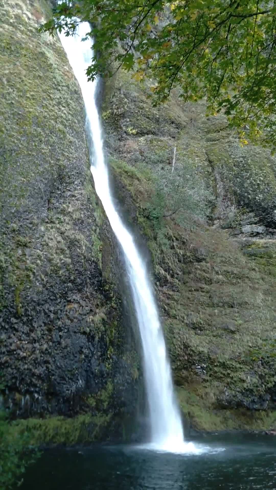 Video review of Horsetail Falls