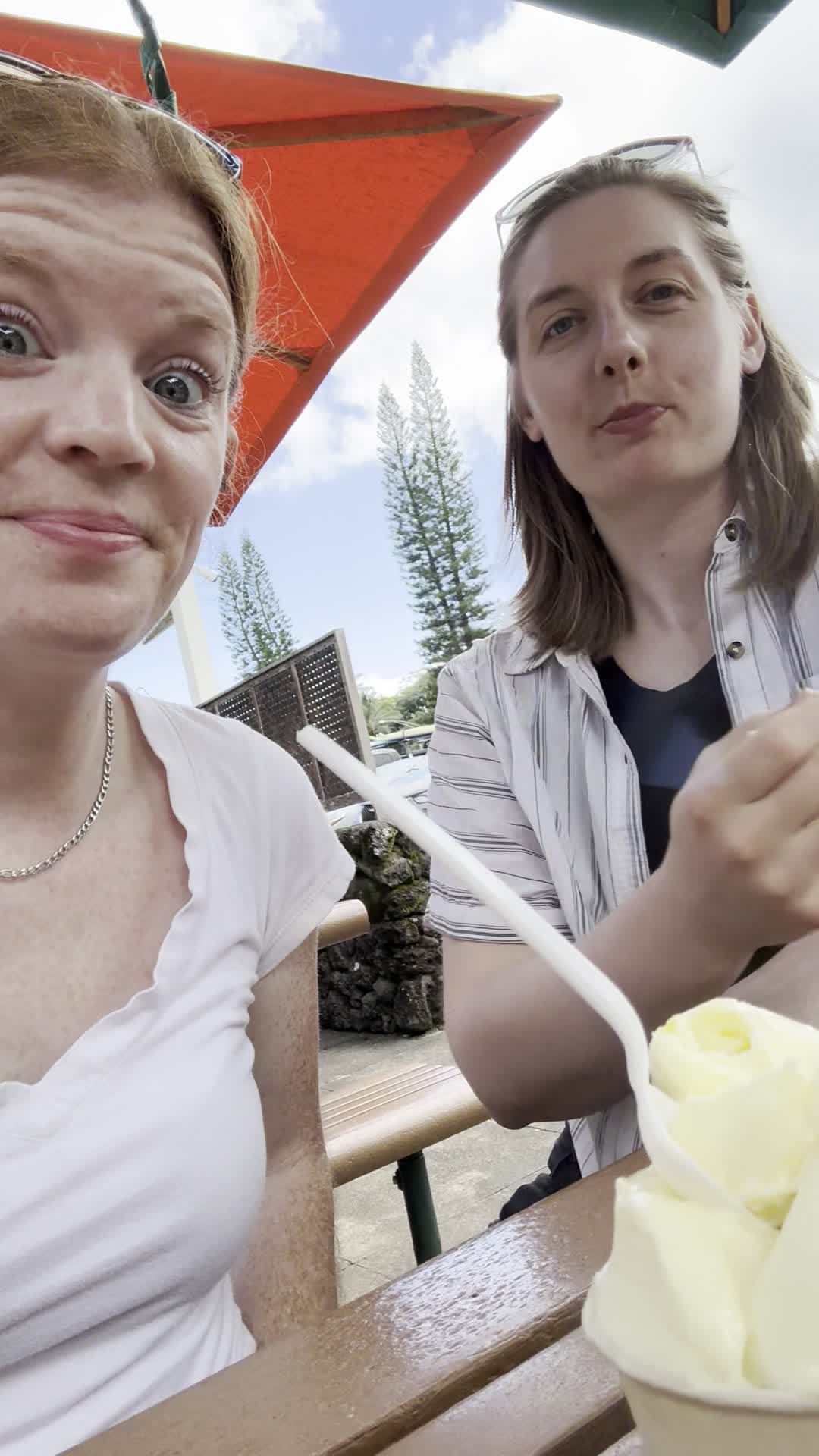 Video review of Foodland