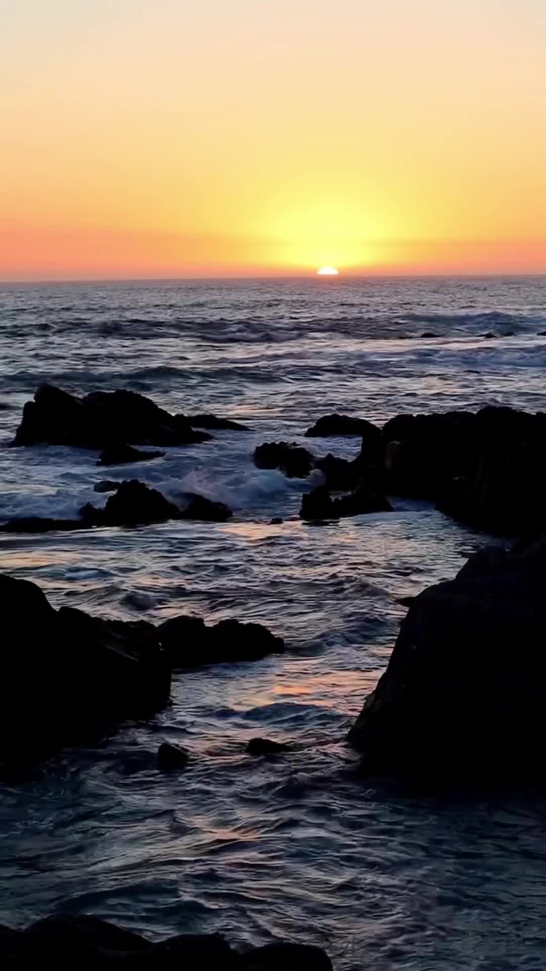 Asilomar State Beach