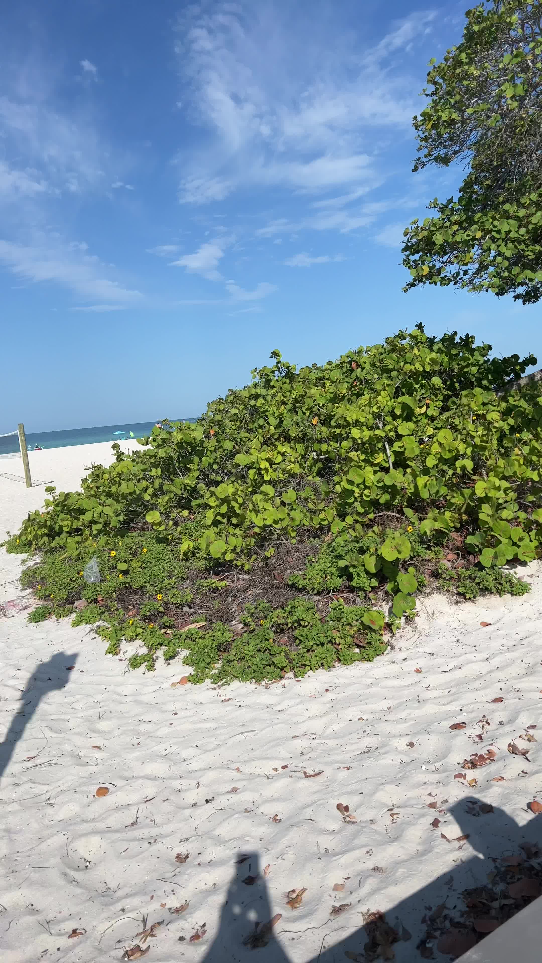 Manatee Public Beach