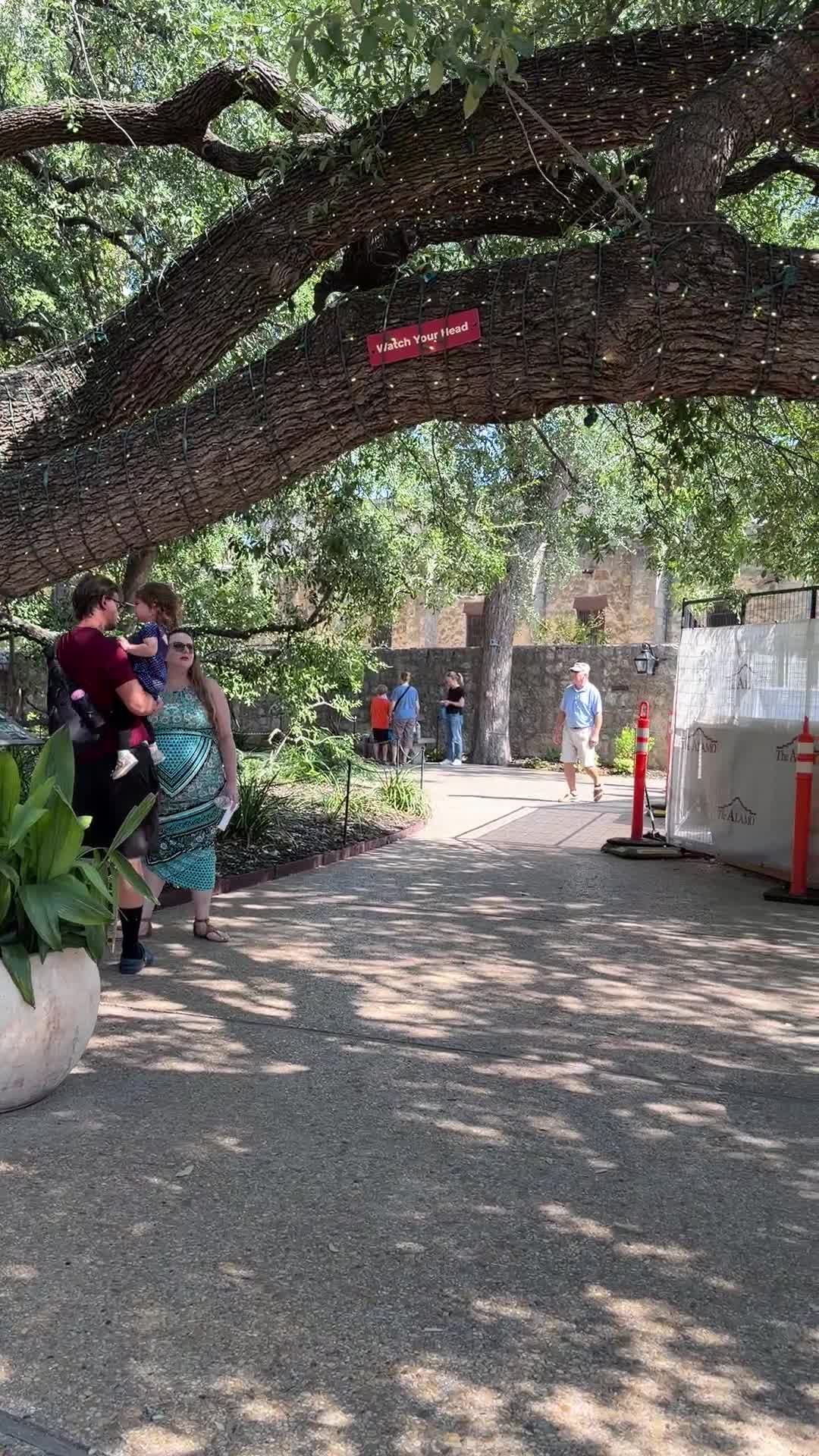 The Alamo