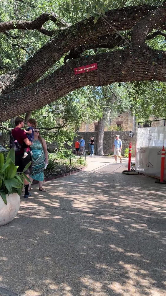 The Alamo