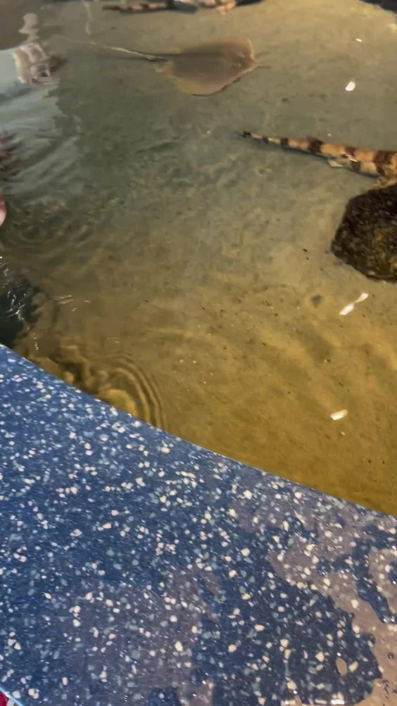 South Carolina Aquarium