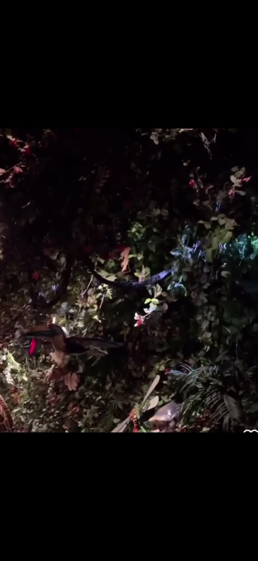 Rainforest Cafe