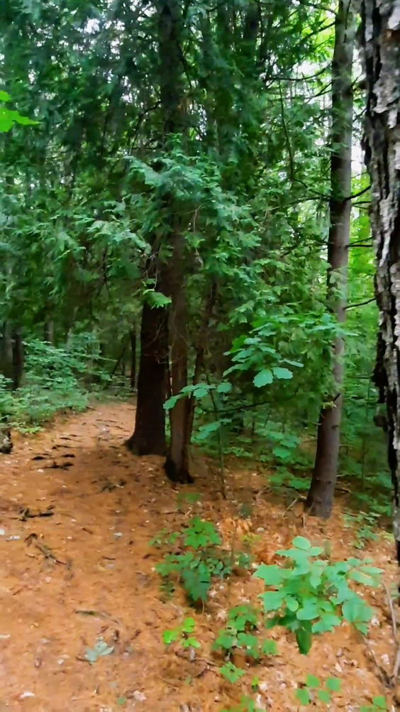 Oakley Corners State Forest