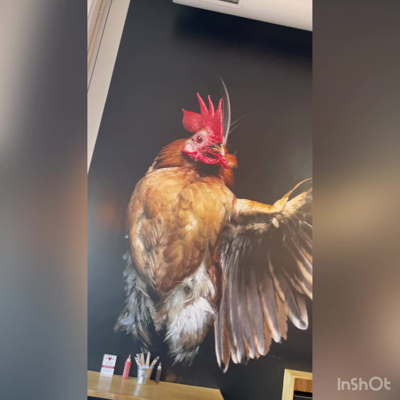 Proposition Chicken