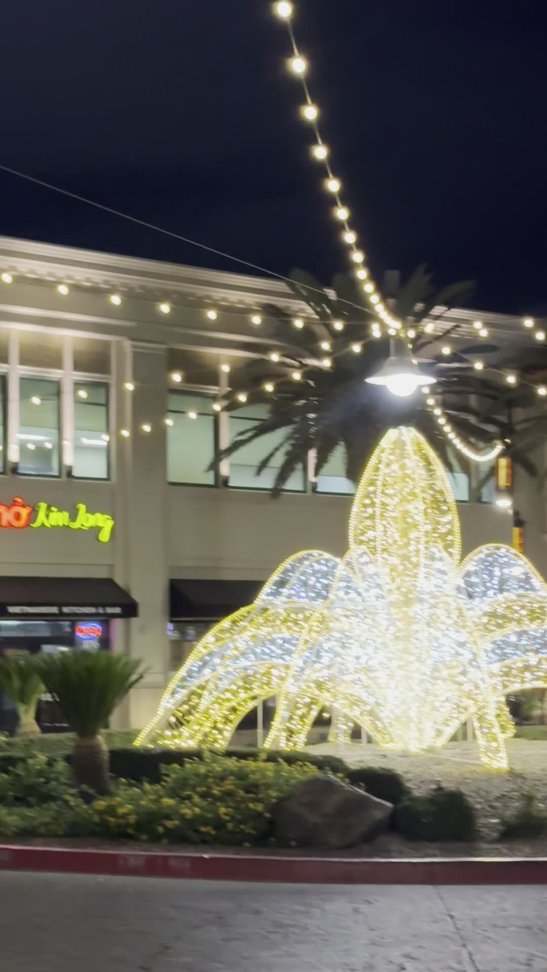 Video review of Town Square Las Vegas