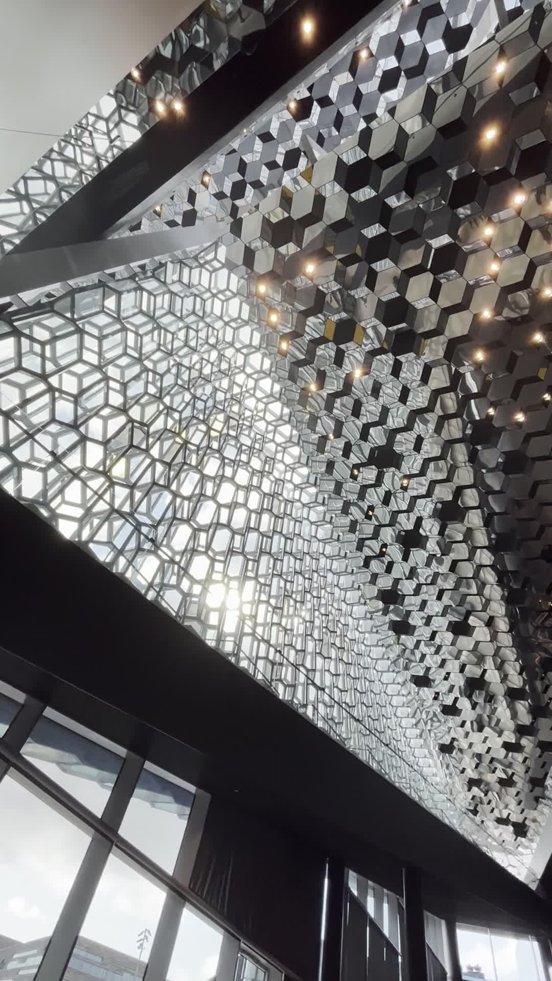 Video review of Harpa
