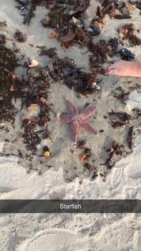 Beachside