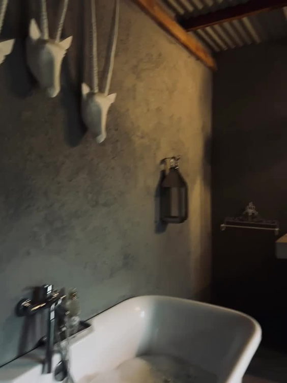 Alkmaar Farmstay