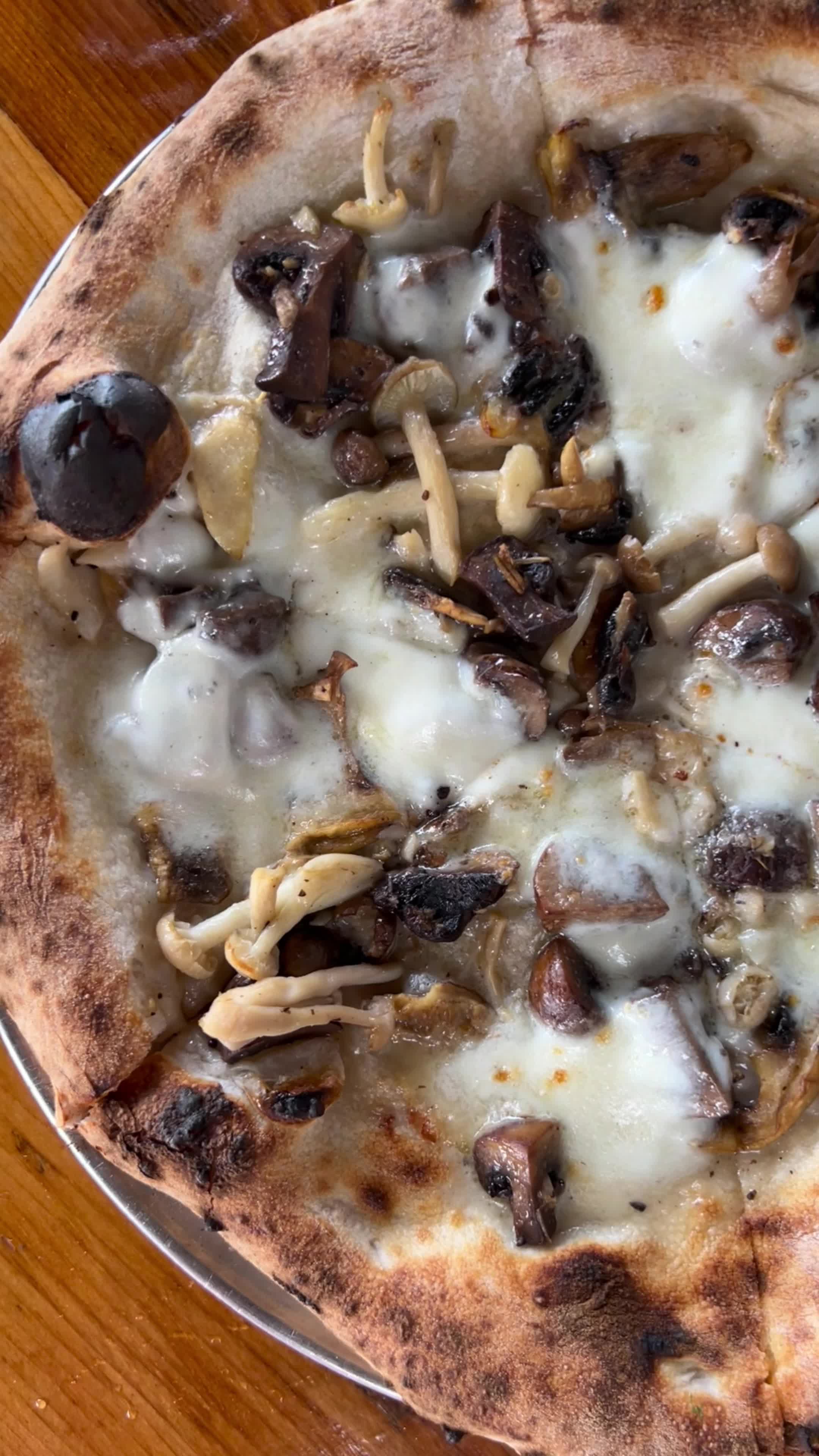 Video review of Michael's Downtown