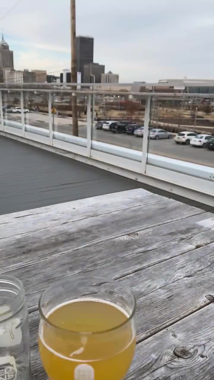 Video review of Social Capital