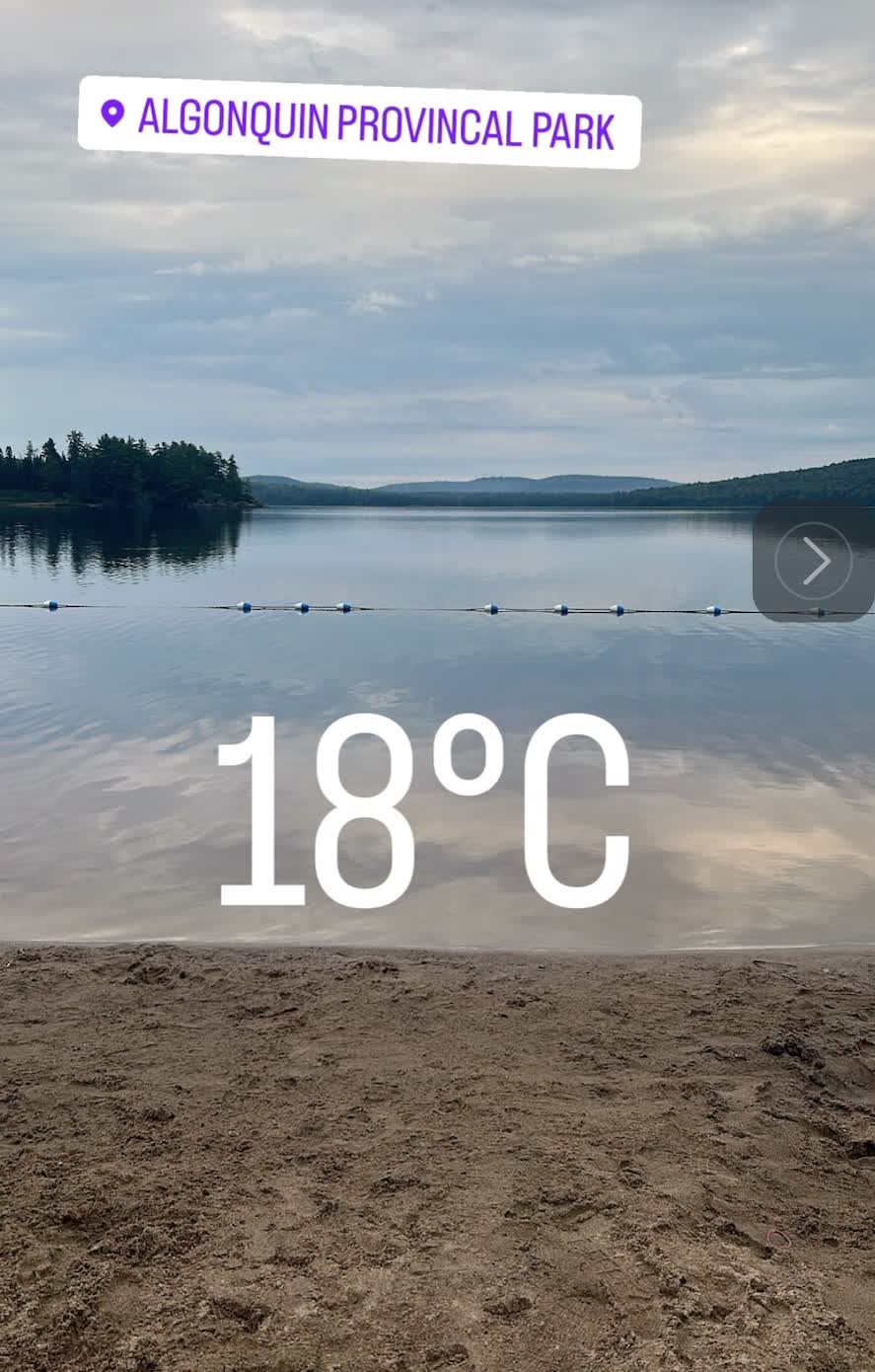 Algoking park