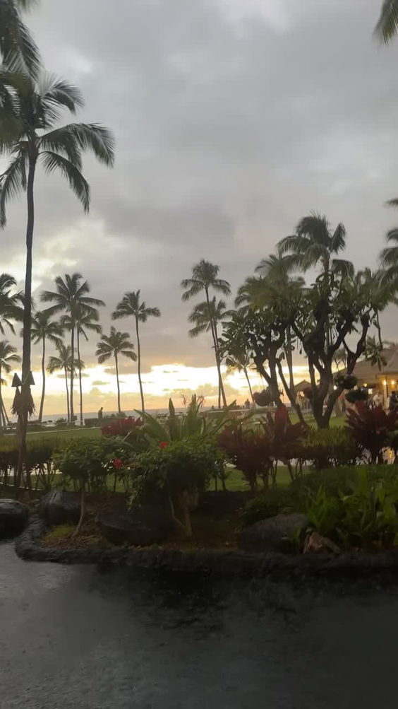 Longhi's Ko Olina