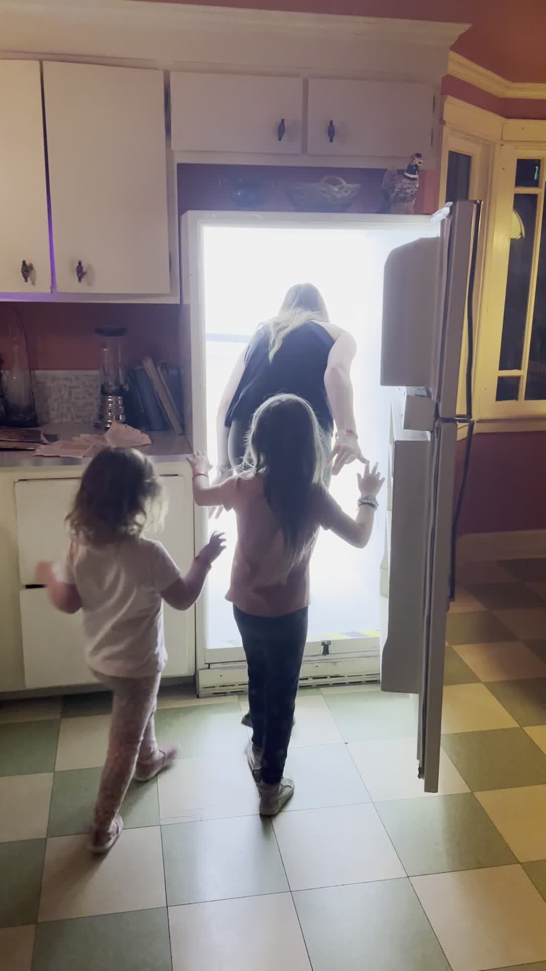 House of Eternal Return, Meow Wolf