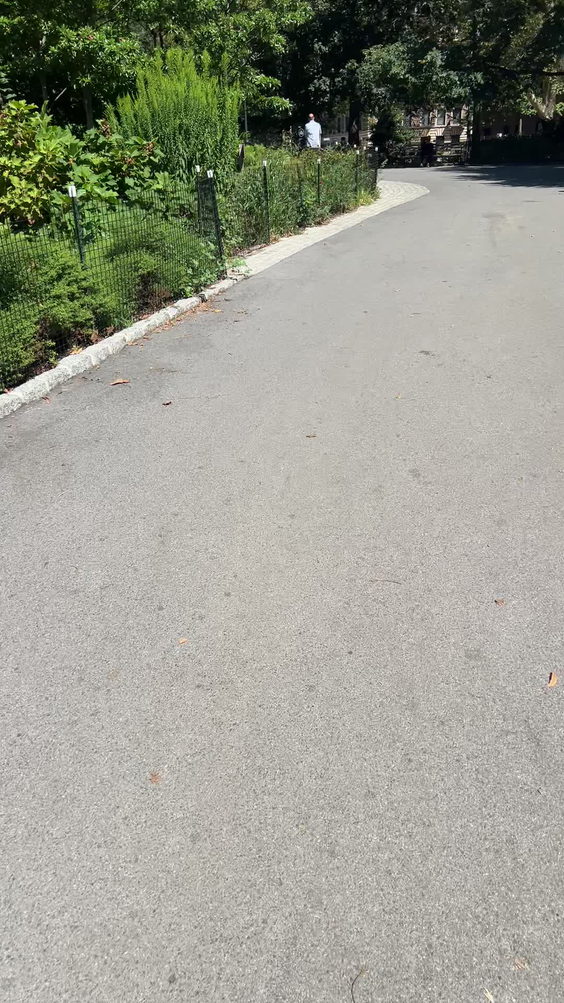 Morningside Park - 116th St Playground