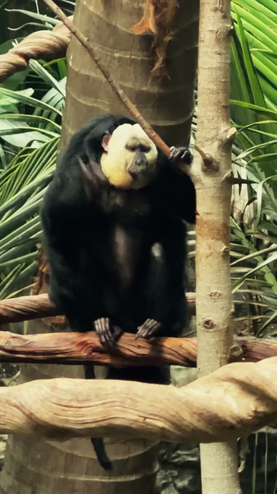 Dallas World Aquarium