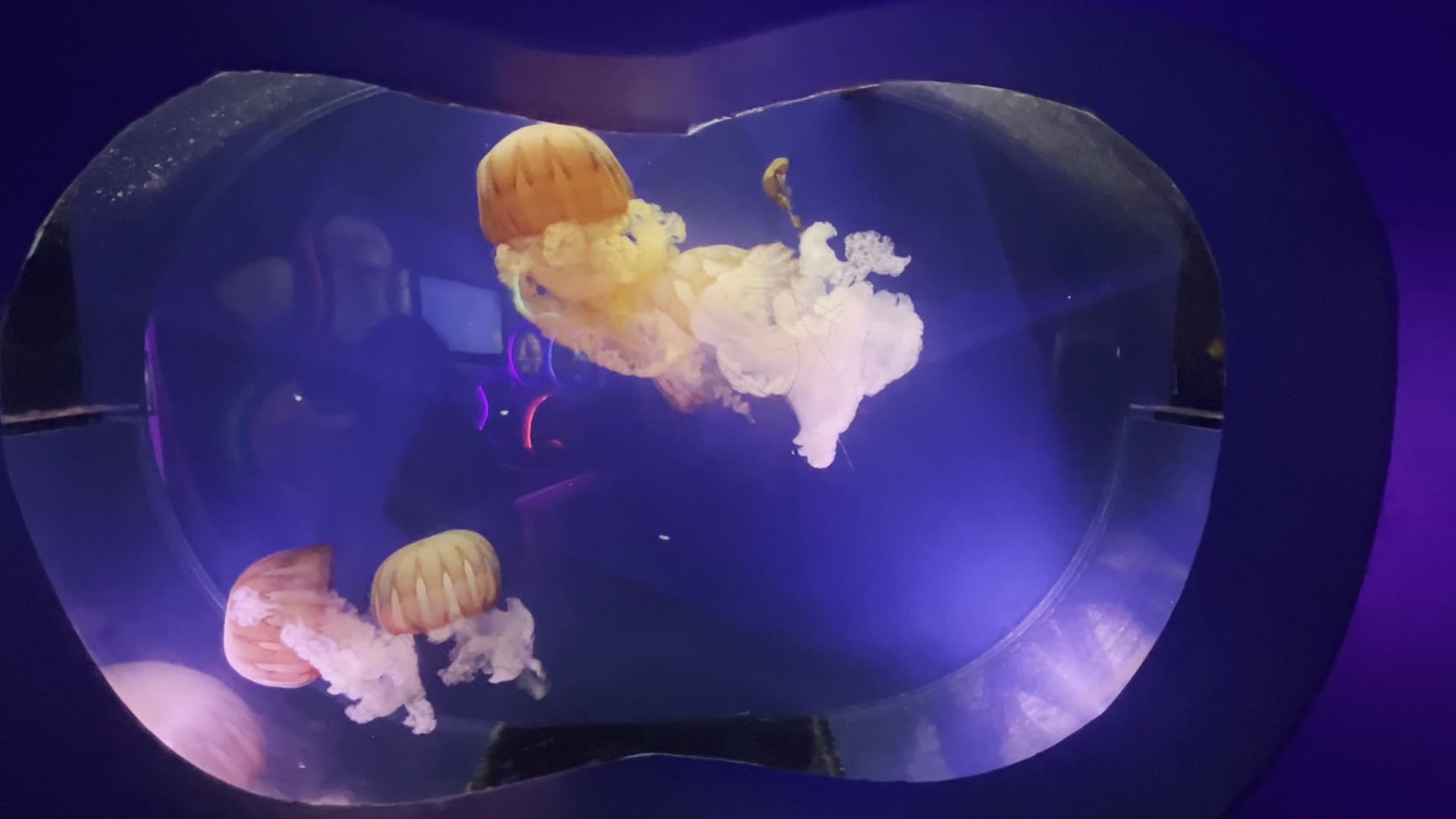 East Idaho Aquarium