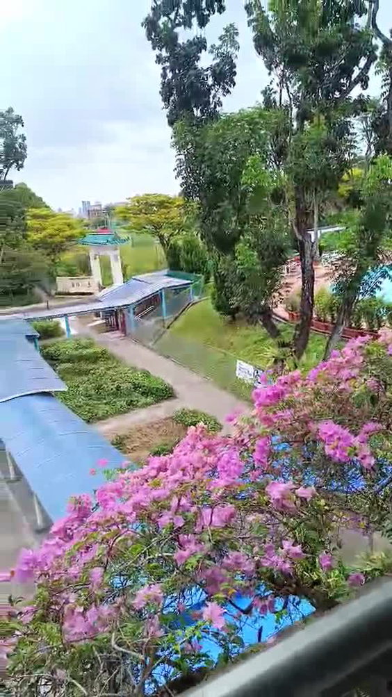 City Park Hotel