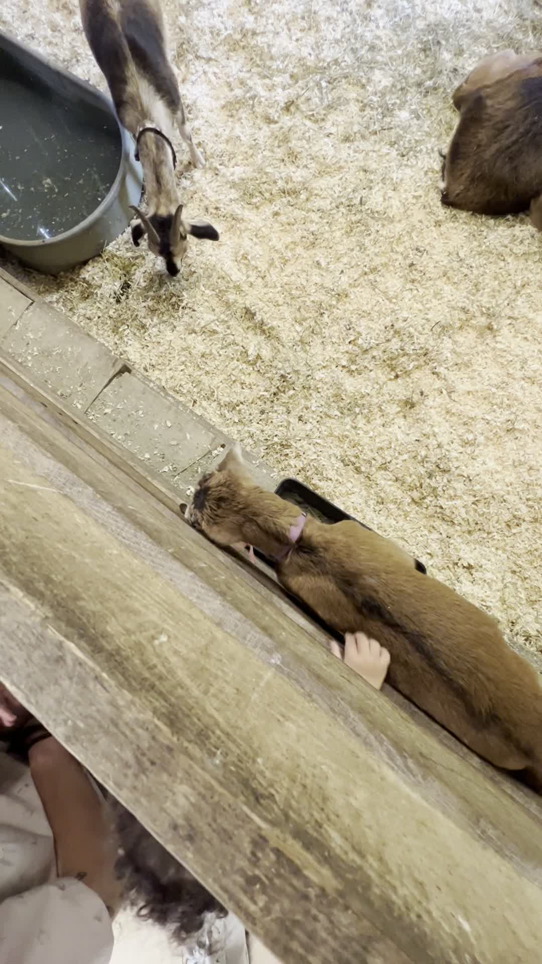 Conner Prairie Interactive History Park