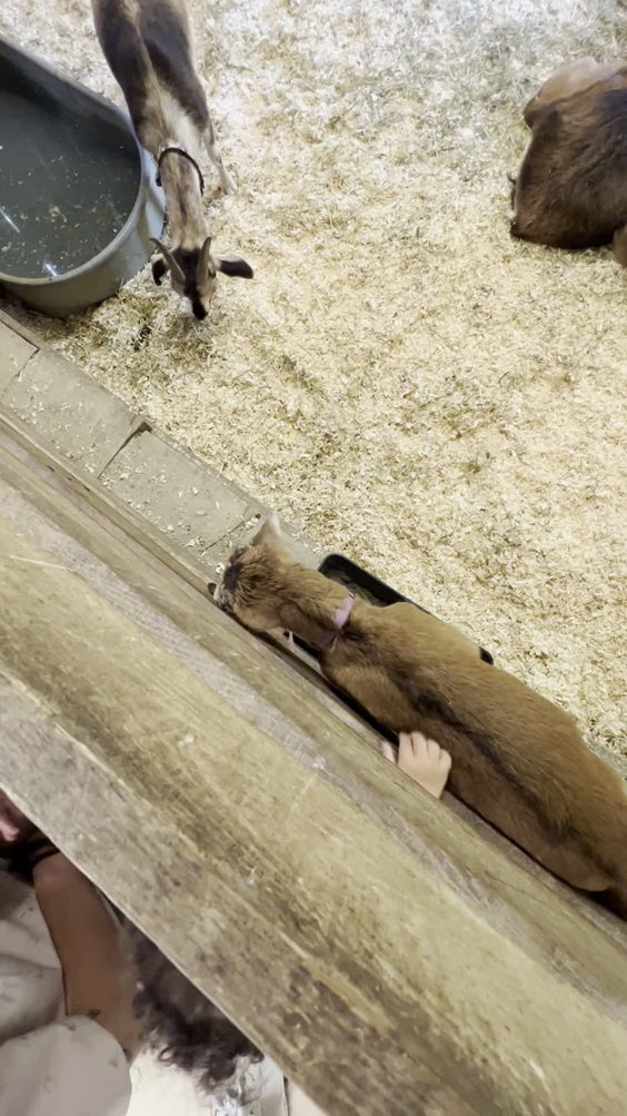 Conner Prairie Interactive History Park