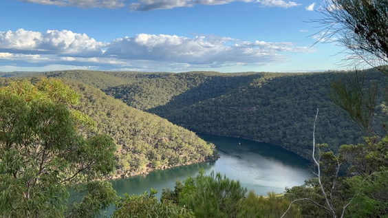 Ku-Ring-Gai Chase National Park