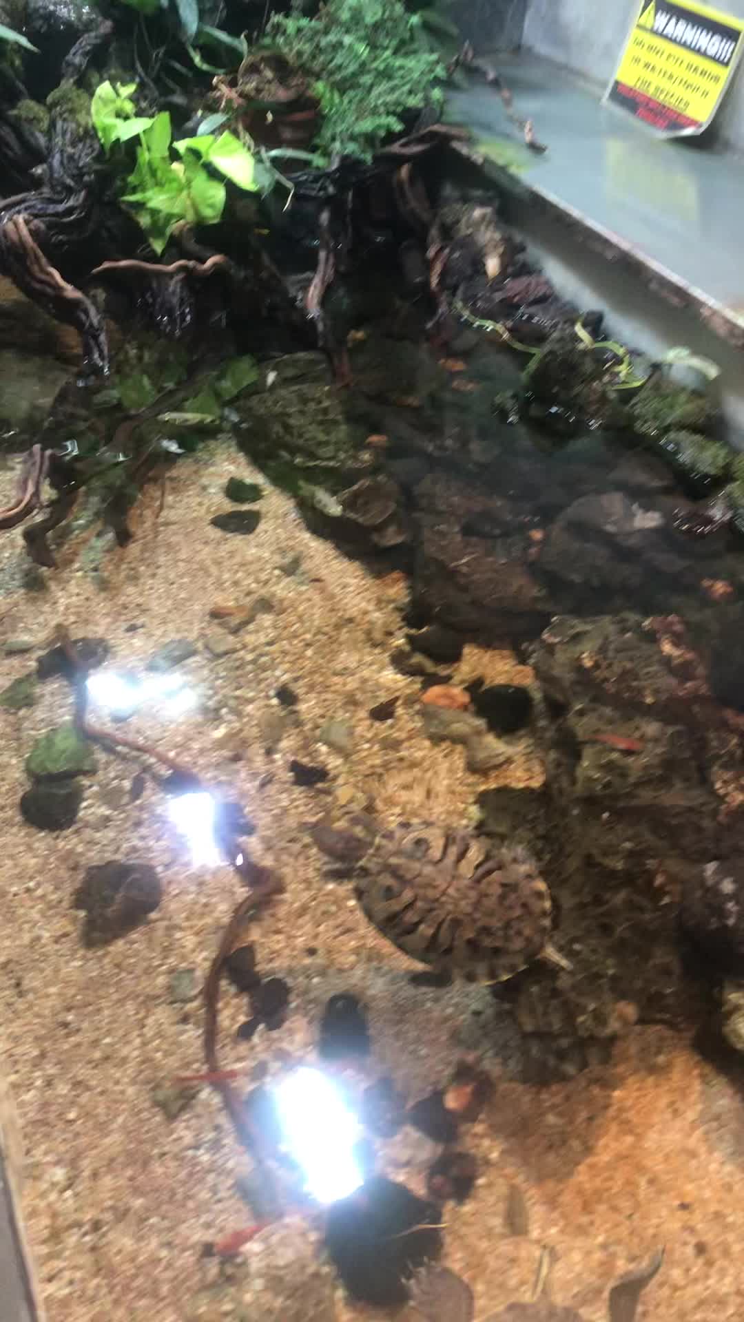 Aquarium Paradise