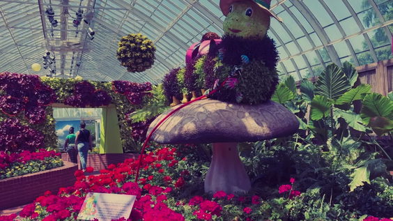 Phipps Conservatory and Botanical Gardens