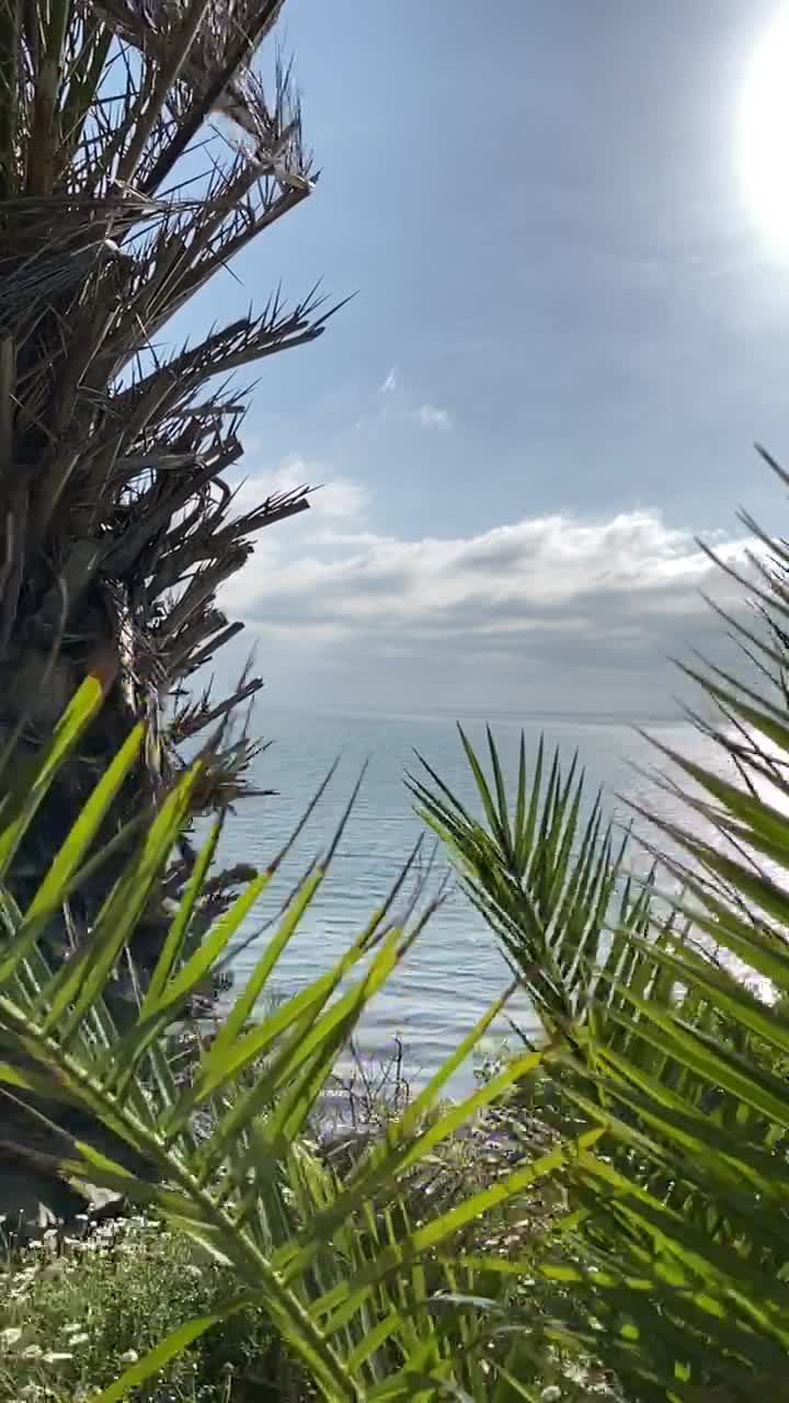 Abalone Cove Beach