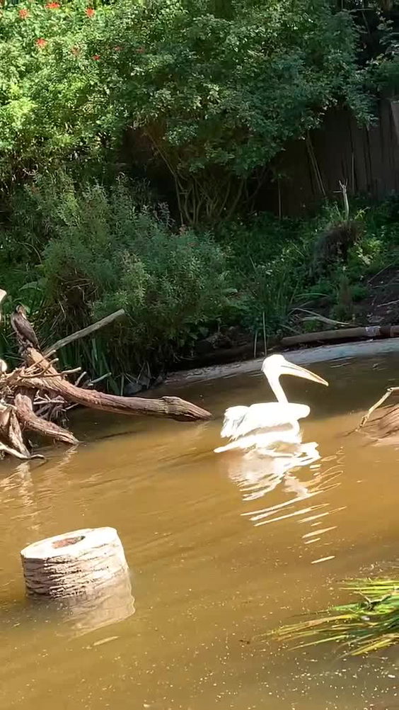 San Diego Zoo